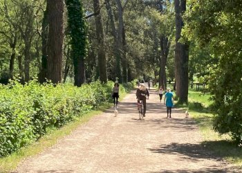 Foto 23 - Terreno non edificabile via sirte, Roma - foto 23