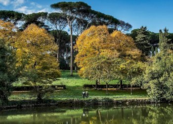 Foto 25 - Terreno non edificabile via sirte, Roma - foto 25