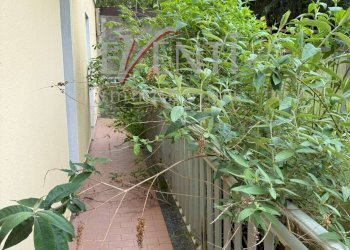 Foto 15 - Casa indipendente FRAZIONE RORETO
 
40, Roure - foto 15