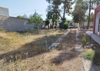 Foto 6 - Villa Quartu Sant'Elena - foto 6