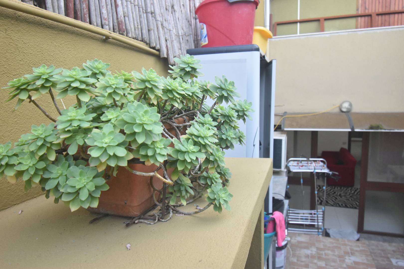 Foto 3 - Three-room apartment via leonardo da vinci, Quartu Sant'Elena - photo 3