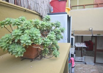 Foto 3 - Trilocale Quartu Sant'Elena - foto 3