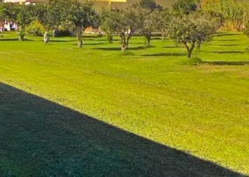 Foto 19 - Villa Quartu Sant'Elena - foto 19