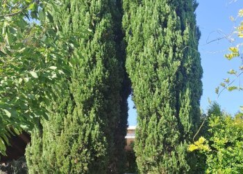 Foto 23 - Villa Quartu Sant'Elena - foto 23