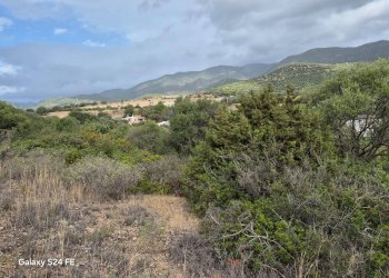 Foto 7 - Terreno edificabile loc is meris, Quartu Sant'Elena - foto 7