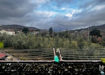 Vista delle montagne - Appartamento viale padre pio
33, Mirabello Sannitico - foto 18