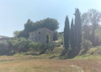 Terreno - Rustico via San Michele, Cupramontana - foto 4