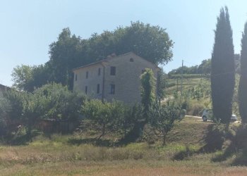 Terreno - Rustico via San Michele, Cupramontana - foto 8
