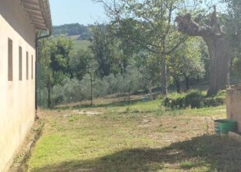 Terreno - Rustico via San Michele, Cupramontana - foto 9