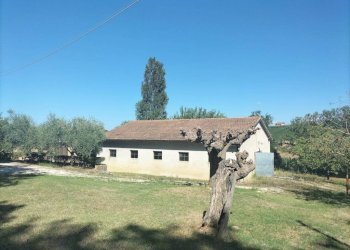 Terreno - Rustico via San Michele, Cupramontana - foto 16
