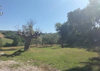 Terreno - Rustico via San Michele, Cupramontana - foto 17