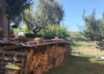 Terreno - Rustico via San Michele, Cupramontana - foto 36