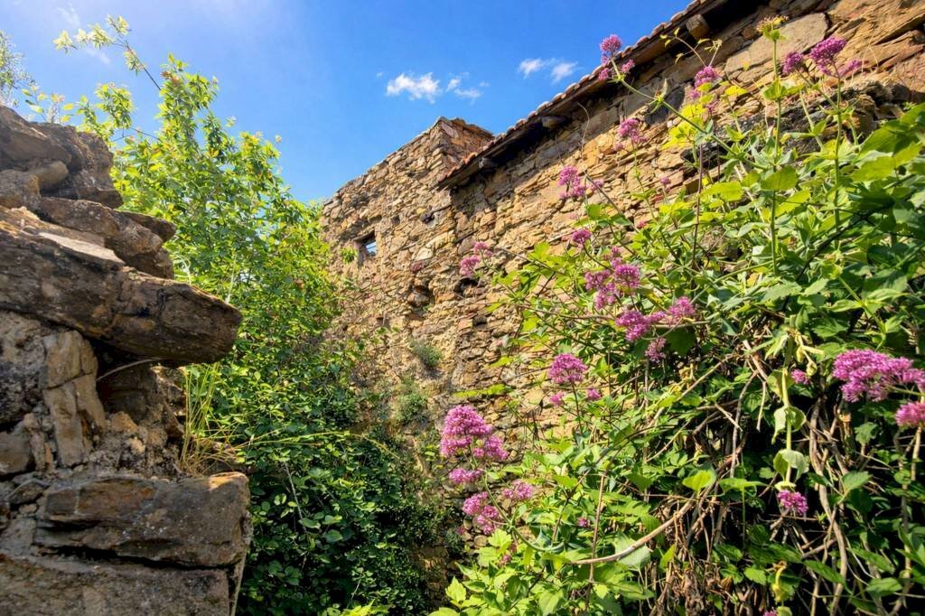 Facciata - Rustico strada Buscardu, Ceriana - foto 3