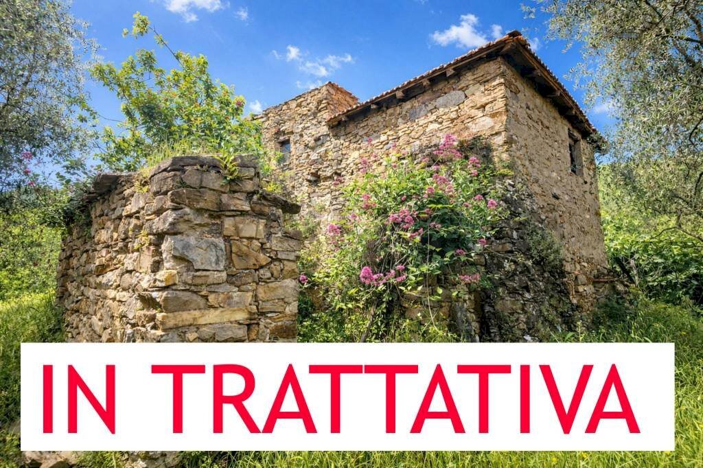 Terreno - Rustico strada Buscardu, Ceriana - foto 1