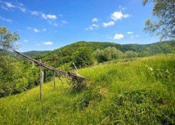 Terreno - Rustico strada Buscardu, Ceriana - foto 7
