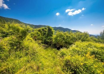 Terreno - Rustico strada Buscardu, Ceriana - foto 22