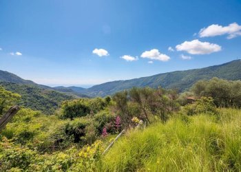Terreno - Rustico strada Buscardu, Ceriana - foto 25