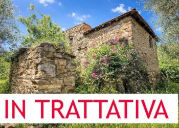 Terreno - Rustico strada Buscardu, Ceriana - foto 1