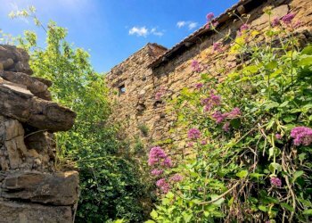 Facciata - Rustic strada Buscardu, Ceriana - photo 4