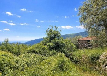 Terreno - Rustic strada Buscardu, Ceriana - photo 5