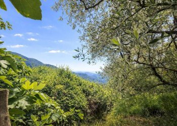 Terreno - Rustico strada Buscardu, Ceriana - foto 6