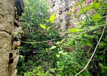 Terreno - Rustico strada Buscardu, Ceriana - foto 9