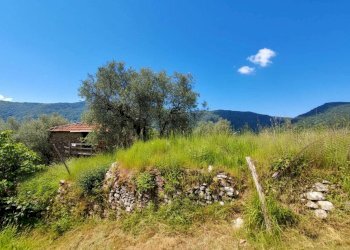 Terreno - Rustico strada Buscardu, Ceriana - foto 22