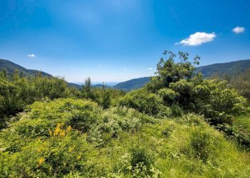 Terreno - Rustic strada Buscardu, Ceriana - photo 24