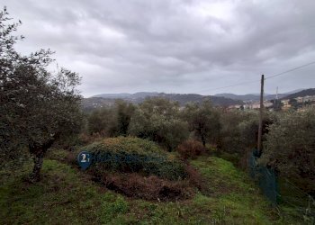 Foto 51 - Appartamento Via Maddalena
 
48, Vezzano Ligure - foto 51