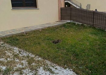 Giardino - Two-room apartment Caselette - photo 23