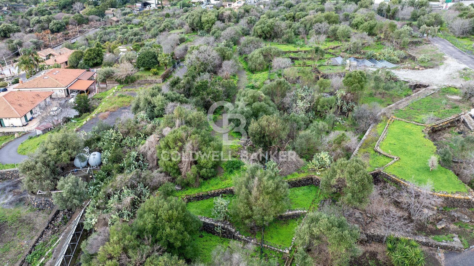 Foto 1 - Terreno agricolo VIA COLLINA DI POLIFEMO
 
s.n., Aci Castello - foto 1