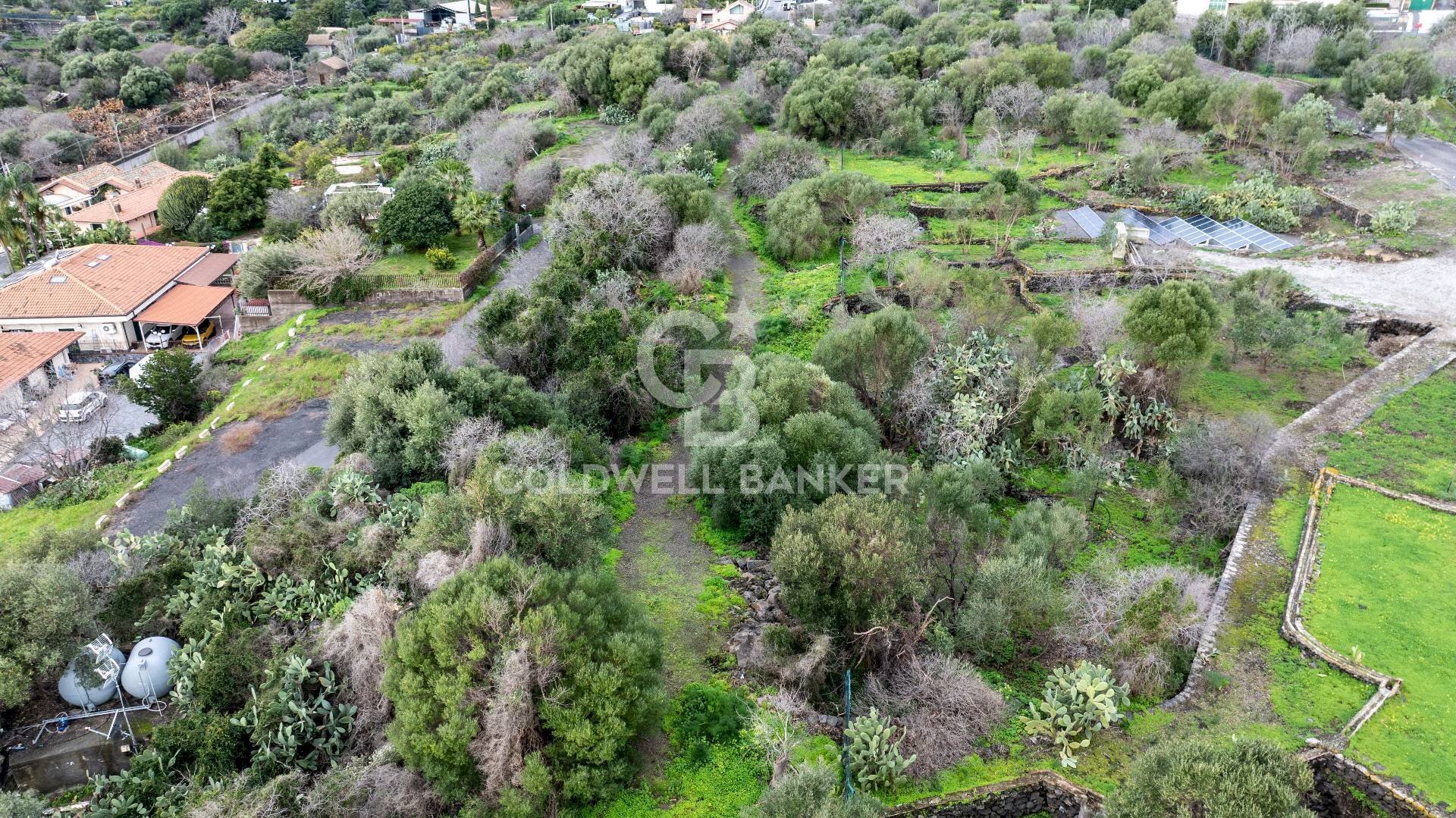 Foto 2 - Terreno agricolo VIA COLLINA DI POLIFEMO
s.n., Aci Castello - foto 2