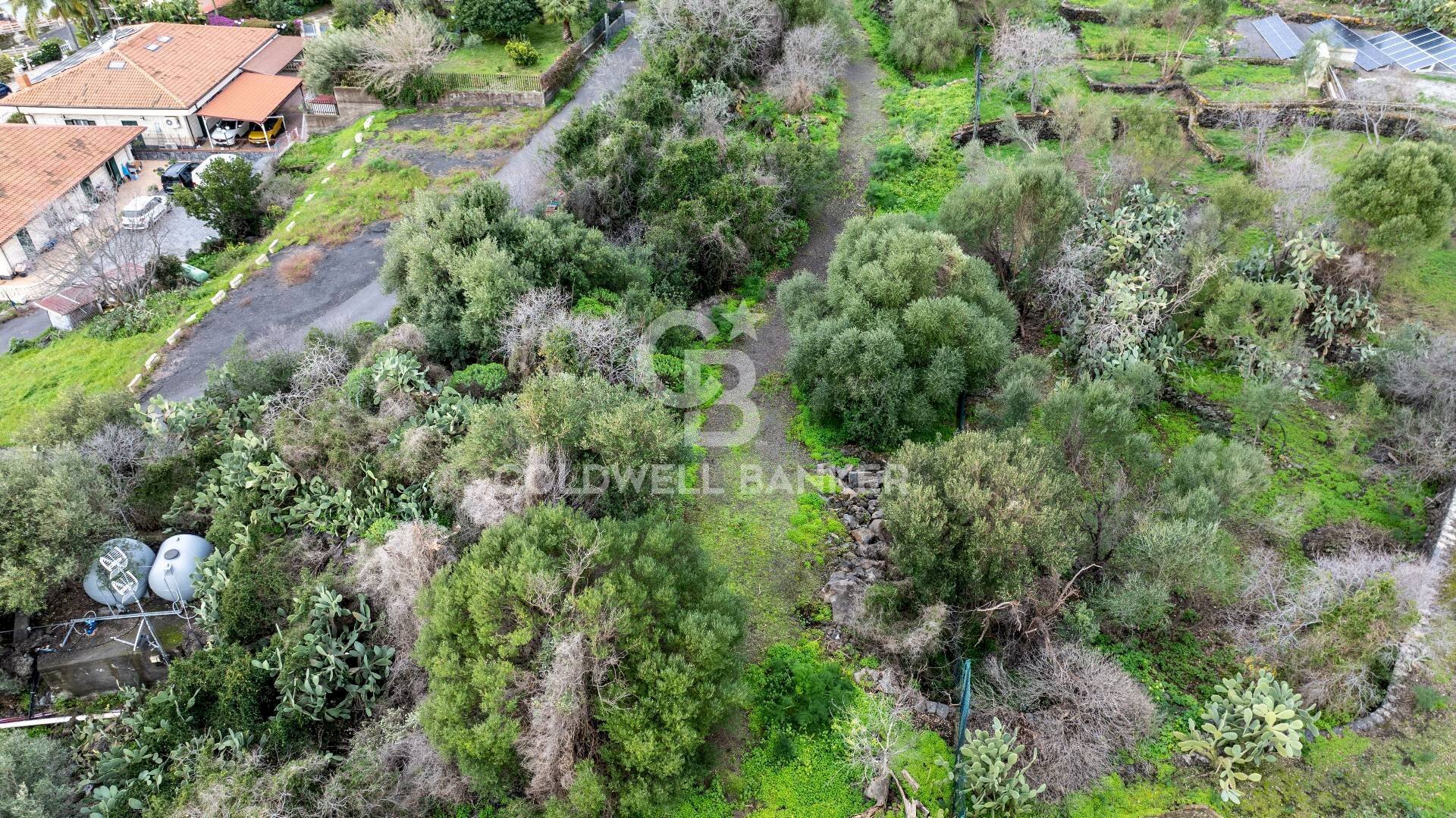 Foto 3 - Terreno agricolo VIA COLLINA DI POLIFEMO
s.n., Aci Castello - foto 3