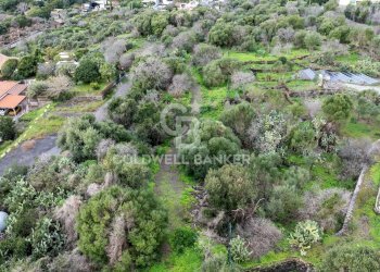 Foto 2 - Terreno agricolo VIA COLLINA DI POLIFEMO
 
s.n., Aci Castello - foto 2