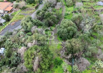 Foto 3 - Terreno agricolo VIA COLLINA DI POLIFEMO
 
s.n., Aci Castello - foto 3