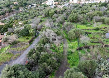 Foto 4 - Terreno agricolo VIA COLLINA DI POLIFEMO
 
s.n., Aci Castello - foto 4