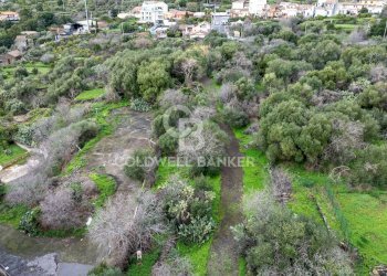 Foto 7 - Terreno agricolo VIA COLLINA DI POLIFEMO
 
s.n., Aci Castello - foto 7