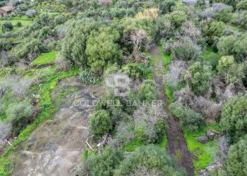 Foto 8 - Terreno agricolo VIA COLLINA DI POLIFEMO
 
s.n., Aci Castello - foto 8