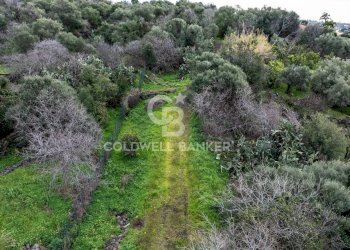 Foto 15 - Terreno agricolo VIA COLLINA DI POLIFEMO
 
s.n., Aci Castello - foto 15