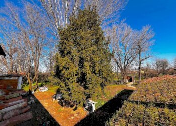 Terreno - Villa via Chiesa di Viadagola, Granarolo dell'Emilia - foto 24