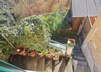 whatsapp image 2026-01-26 at 13.56.50 - Trilocale passo Dei Barabini, Genova (zona Bolzaneto) - foto 6