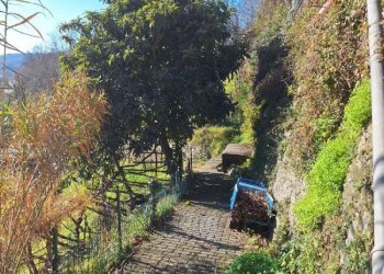 whatsapp image 2026-01-26 at 13.59.03 - Trilocale passo Dei Barabini, Genova (zona Bolzaneto) - foto 7