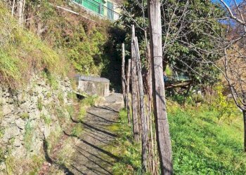 whatsapp image 2026-01-26 at 13.59.02 (1) - Trilocale passo Dei Barabini, Genova (zona Bolzaneto) - foto 9