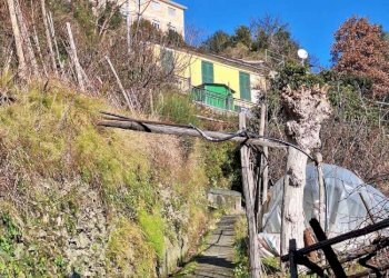 whatsapp image 2026-01-26 at 13.59.29 - Trilocale passo Dei Barabini, Genova (zona Bolzaneto) - foto 22