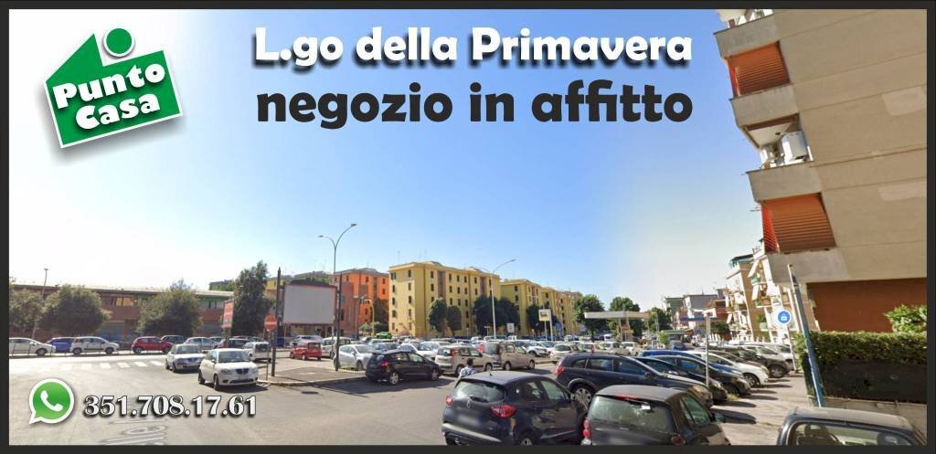 Zona - Telefonia - Cellulari - Elettrodomestici largo della Primavera, 26, Roma - foto 1