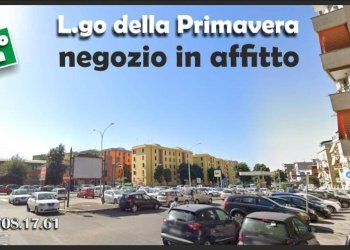 Zona - Telefonia - Cellulari - Elettrodomestici largo della Primavera, 26, Roma - foto 1