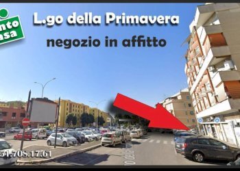 Zona - Telefonia - Cellulari - Elettrodomestici largo della Primavera, 26, Roma - foto 2