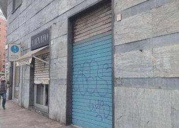 Zona - Negozio corso Carlo e Nello Rosselli, 94/E, Torino (zona Crocetta) - foto 5