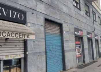 Zona - Shop corso Carlo e Nello Rosselli, 94/E, Torino (neighborhood Crocetta) - photo 2