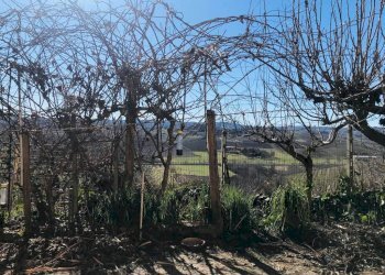 Terreno - Rustico via Gavelli, Castelnuovo Calcea - foto 13